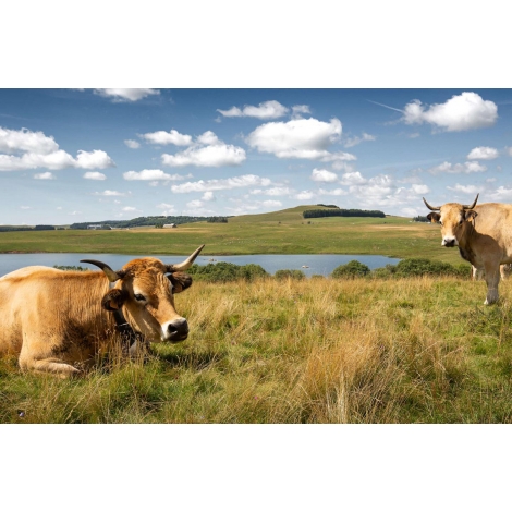 Séjour en Aveyron 2026