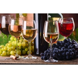 Initiation œnologie