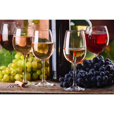 Initiation œnologie